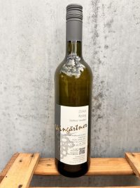 2024er Riesling trocken
