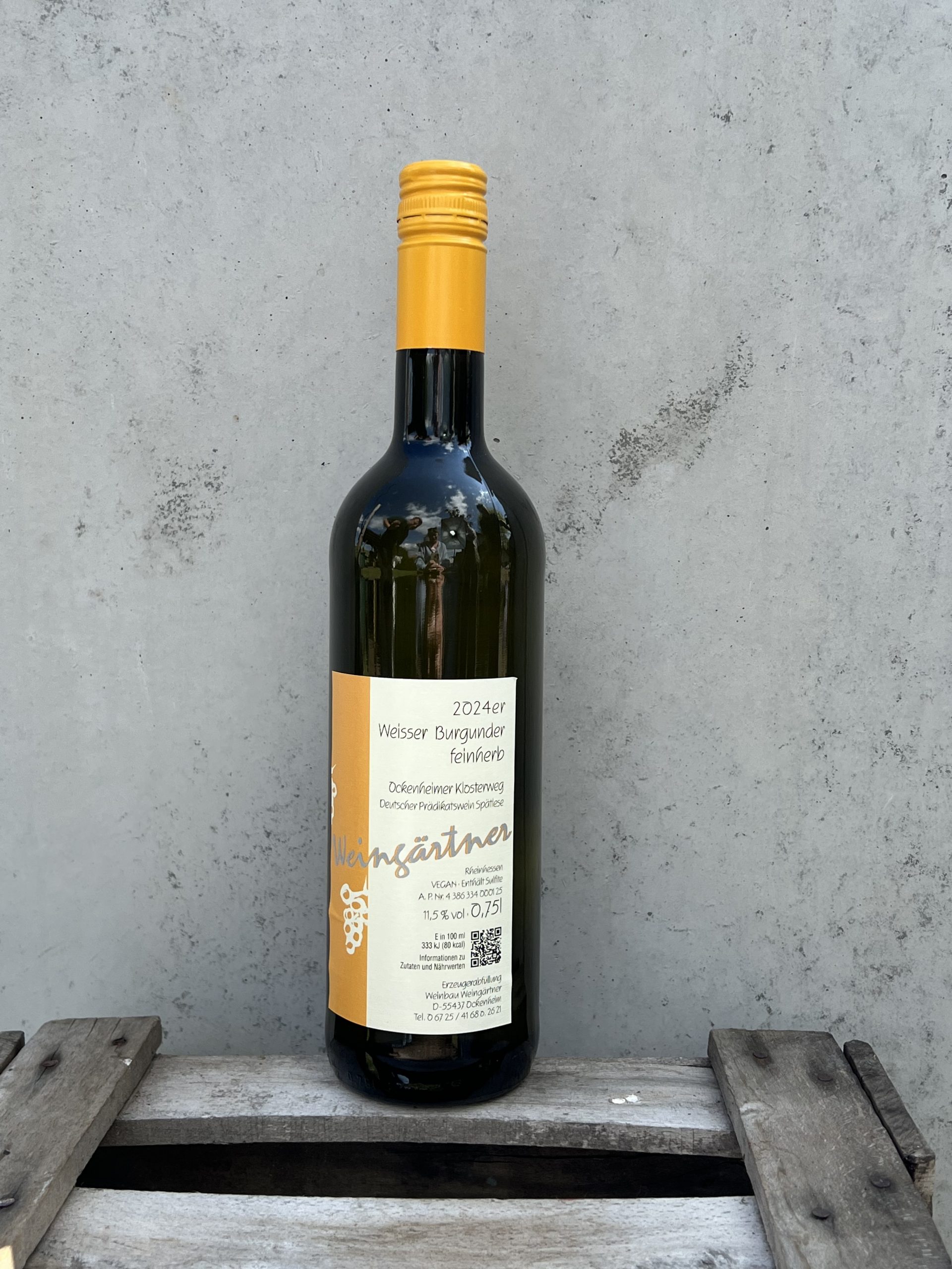 Weisser_Burgunder_2024